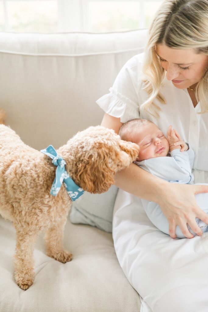 newborn baby photos with dog Cleveland newborn photographer