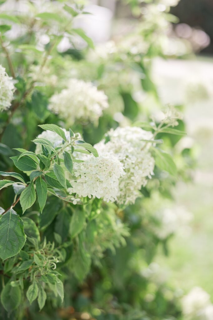 Chagrin Falls wedding venues outdoor weddings